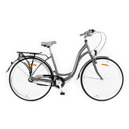 Rower 28 Storm Paris D17" alu. Nexus-3 grafit