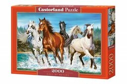 Castorland, puzzle, Zew natury, 2000 el.
