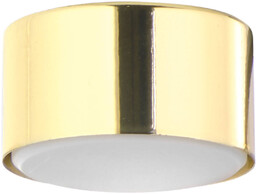 Plafon lampa do salonu DALLAS GX53 10W LED