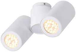 Maxlight Barro II C0113 oprawa stropowa natynkowa biała