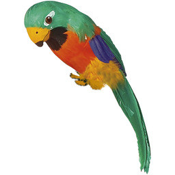 Widmann 30742 papuga z piórami, wielokolorowa
