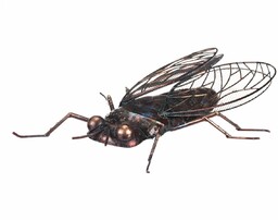 Metalowa dekoracja ogrodowa Fly, 36 x 28 x