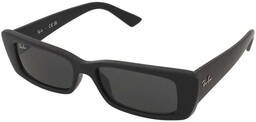 Ray-Ban Teru RB4425 6677/87
