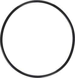 Olympus POL-054 O-ring/pierścień uszczelniający (odpowiedni do obudowy podwodnej