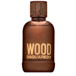 Dsquared2 Wood woda toaletowa dla mężczyzn 100 ml