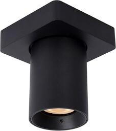 Lucide NIGEL - reflektor sufitowy - LED Dim