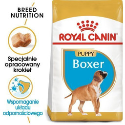 Karma sucha dla szczeniąt ROYAL CANIN Boxer Puppy,