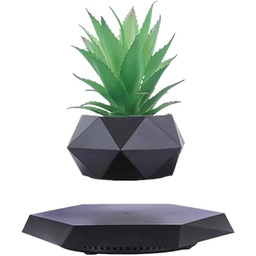 Babook Lewitująca roślina, pływająca roślina, pływająca doniczka