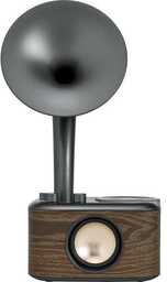 Sangean Euphonic 450 WR-45 Radio FM Bluetooth Czarny
