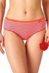 Figi damskie bawełniane (2 pack) o klasycznym kroju