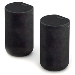 SONY Kolumny głośnikowe SA-RS5 Czarny (2 szt.)