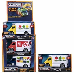 TEAMSTERZ auto dostawcze św/dźw