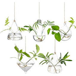 Glasseam Wiszące szklane doniczki, terrarium, nowoczesne stacje