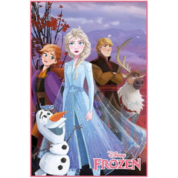 Duży Dywan Frozen Dywan Kraina Lodu Elsa Anna