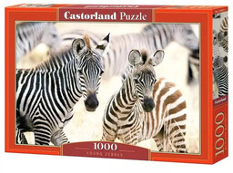 Puzzle 1000 Young Zebras CASTOR - Castorland