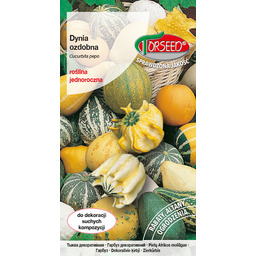 Dynia ozdobna - Cucurbita pepo mieszanka 5g