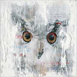 Pro-Art HP1702ZC obraz ścienny ręcznie malowany oryginał "sowa",