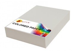 Papier kolorowy A4 80g szary 2029-100 2029-500, Ilość