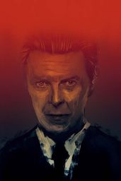David Bowie - plakat premium Wymiar do wyboru: