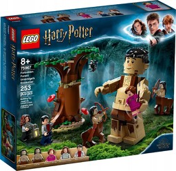 Lego Harry Potter Zakazany Las 75967
