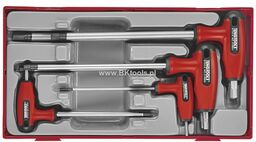 Teng Tools Zestaw kluczy trzpieniowych sześciokątnych245800107 TTHEX7s