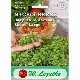 Microgreens bazylia właściwa Sweet Large - Legutko >>>