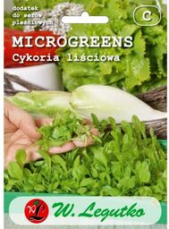Microgreens cykoria liściowa - Legutko >>> nasiona