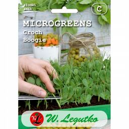 Microgreens groch siewny łuskowy Boogie - Legutko >>>
