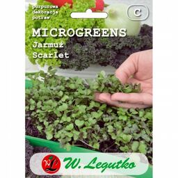 Microgreens jarmuż Scarlet - Legutko >>> nasiona