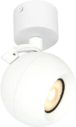 Reflektor sufitowy metalowy biały 1-punktowy SPL-45379-1R-WH z serii
