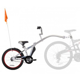 WEERIDE Przyczepka rowerowa Co-Pilot 45kg Srebrny