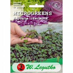 Microgreens kapusta głowiasta czerwona - Legutko >>> nasiona