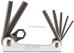 Teng Tools Klucze trzpieniowe-zestaw imbusów 2.5-10mm 231810201 1471MMa