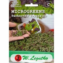 Microgreens pachnotka zwyczajna - Legutko >>> nasiona