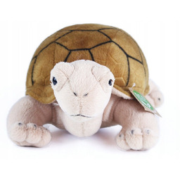Pluszak maskotka Żółw Żółwik Friendly Prezent 25cm