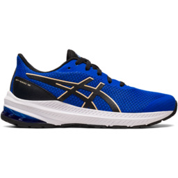 Asics Buty do biegania juniorskie GT-1000 12 GS