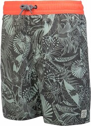 Protest Młodzieżowe majtki do pływania Filey Jr szary