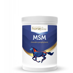 HorseLine PRO MSM 700g