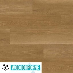 Panele winylowe SPC EPUFLOORING WOOD CATALONIA KL 23-31