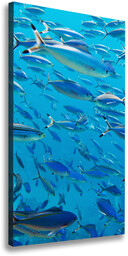Foto obraz canvas pionowy Koralowe ryby