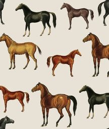 Tapeta Horses Beige Wallcolors