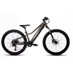 Dziecięcy Rower elektryczny Mtb koło 26 Romet E-Rambler
