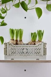 SYSTEM PEGBOARD PIONOWY BIAŁY