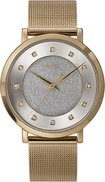 Timex TW2U67100