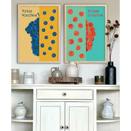 Pakamera Plakaty Winogrona i porzeczki - zestaw fine