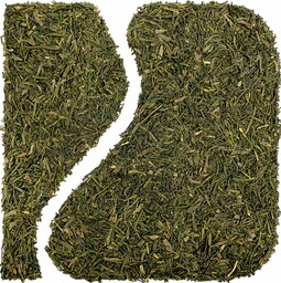 Japan Sencha Miyazaki (Torba 1 kg, Pakowanie standardowe)