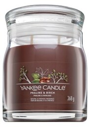 Yankee Candle Praline & Birch 368 g