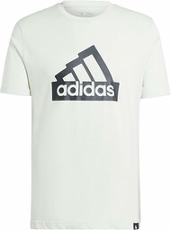 adidas Mężczyźni MODERN ESSENTIALS GRAPHIC TEE, linen green,