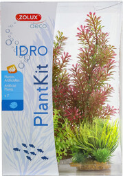 ZOLUX PLANTKIT IDRO Ndeg;1 (352150)