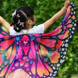 Souza! Skrzydła motyla Papillon